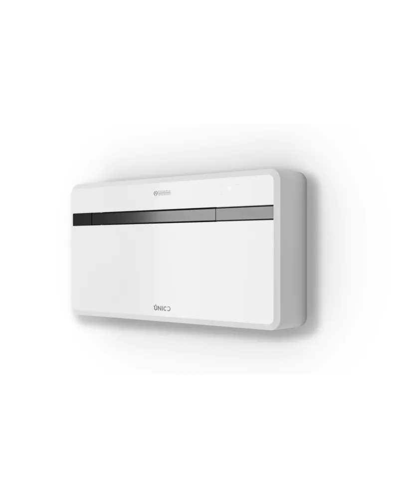 1 kW